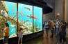 Gallery Walk - Nick Freeman presentation